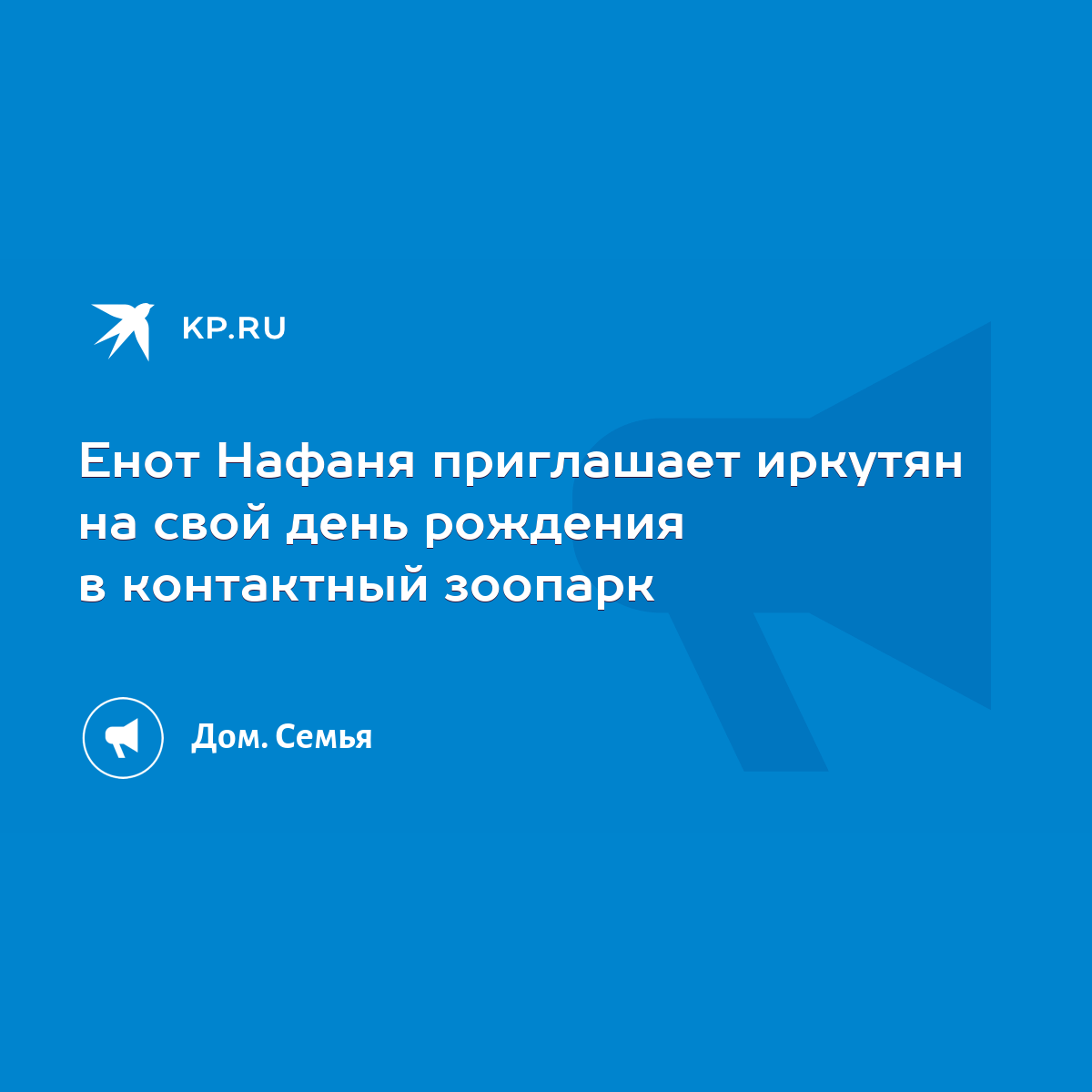 Енот Нафаня приглашает иркутян на свой день рождения в контактный зоопарк -  KP.RU