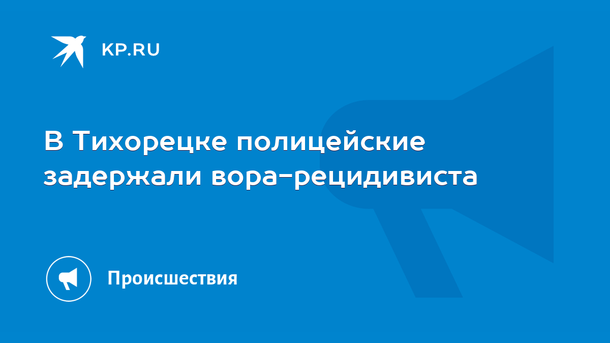 В Тихорецке полицейские задержали вора-рецидивиста - KP.RU