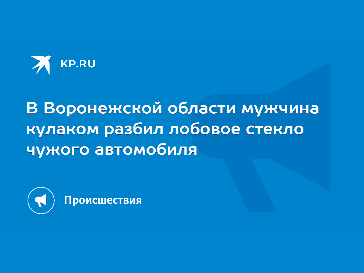 В Воронежской области мужчина кулаком разбил лобовое стекло чужого  автомобиля - KP.RU