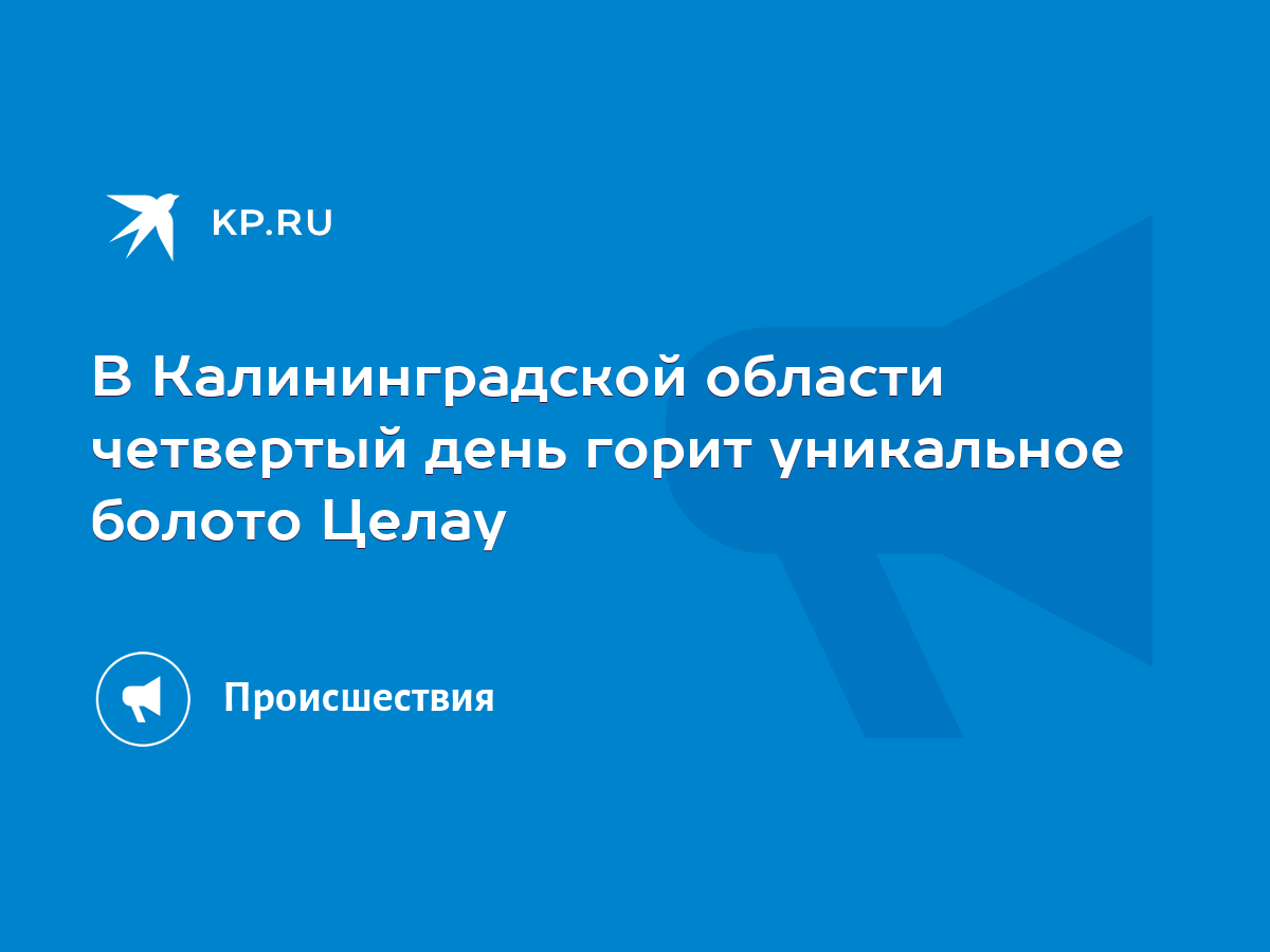 В Калининградской области четвертый день горит уникальное болото Целау -  KP.RU