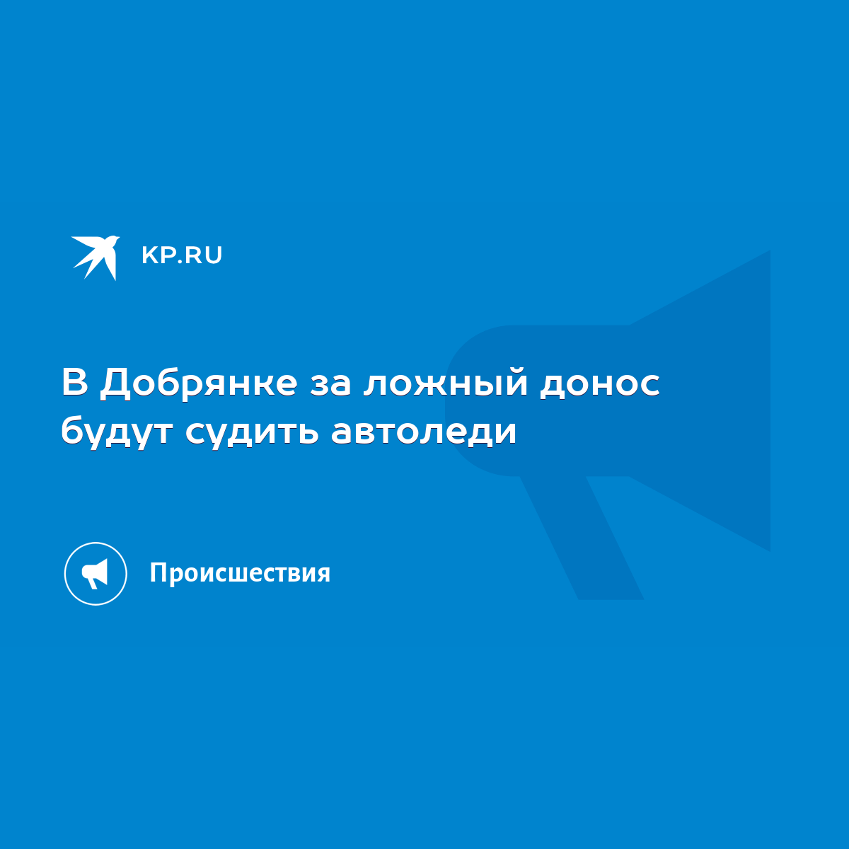 В Добрянке за ложный донос будут судить автоледи - KP.RU