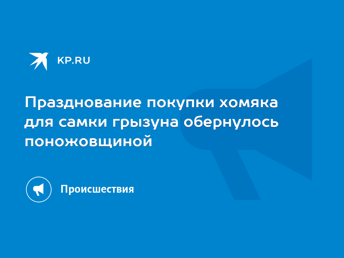 Празднование покупки хомяка для самки грызуна обернулось поножовщиной -  KP.RU