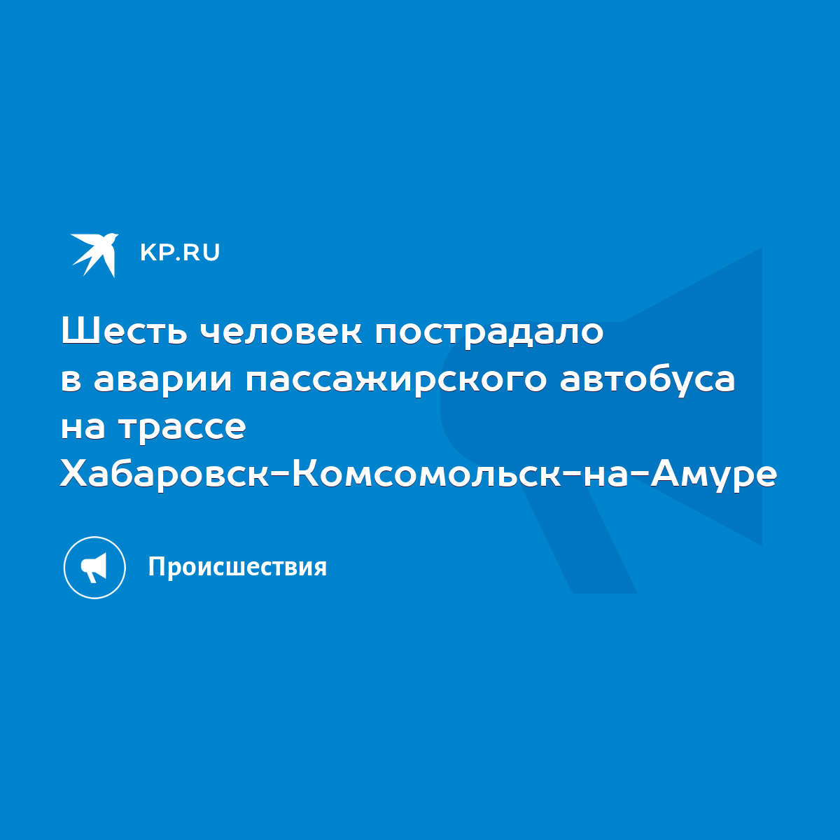 Шесть человек пострадало в аварии пассажирского автобуса на трассе  Хабаровск-Комсомольск-на-Амуре - KP.RU