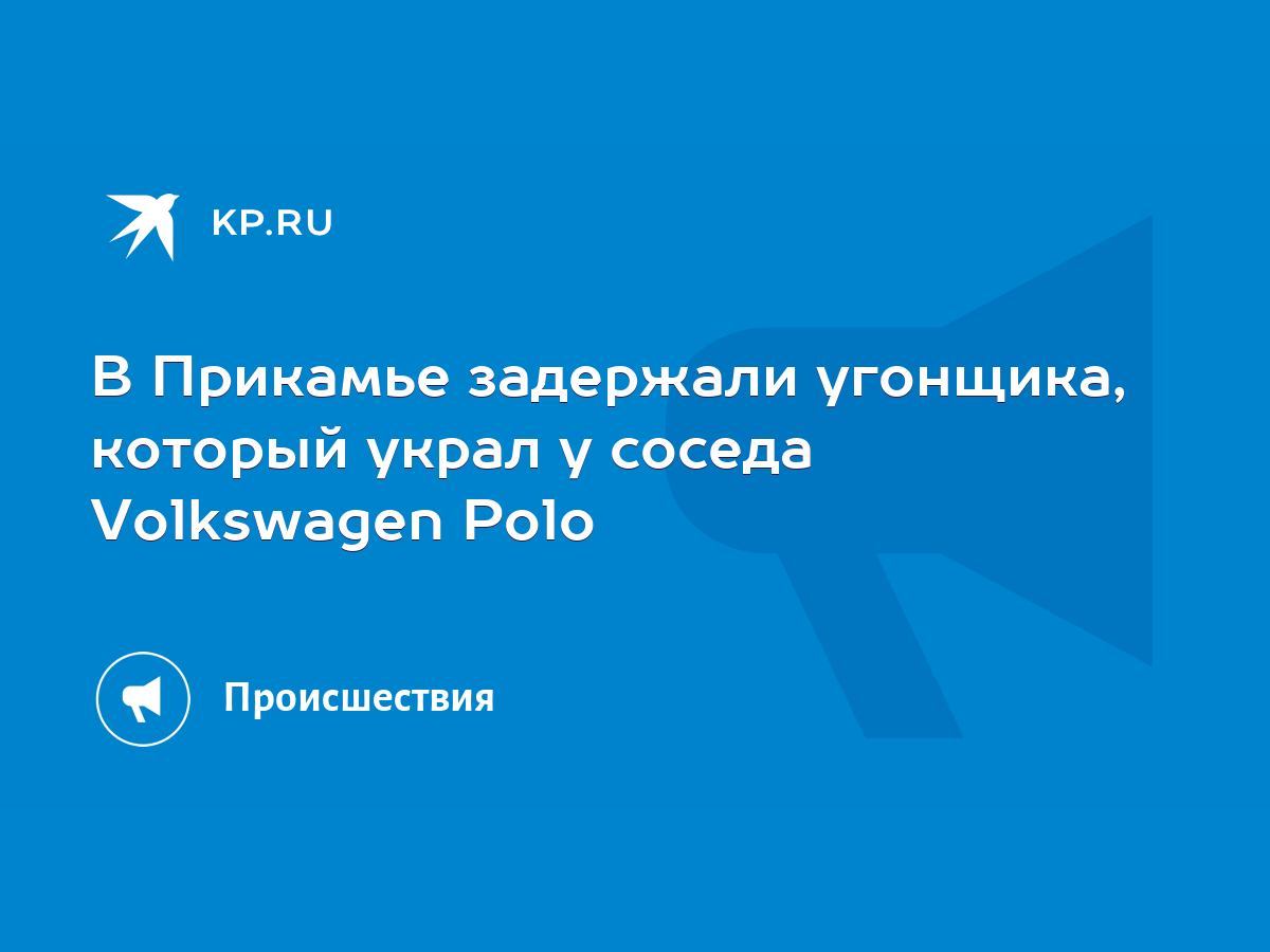 В Прикамье задержали угонщика, который украл у соседа Volkswagen Polo -  KP.RU