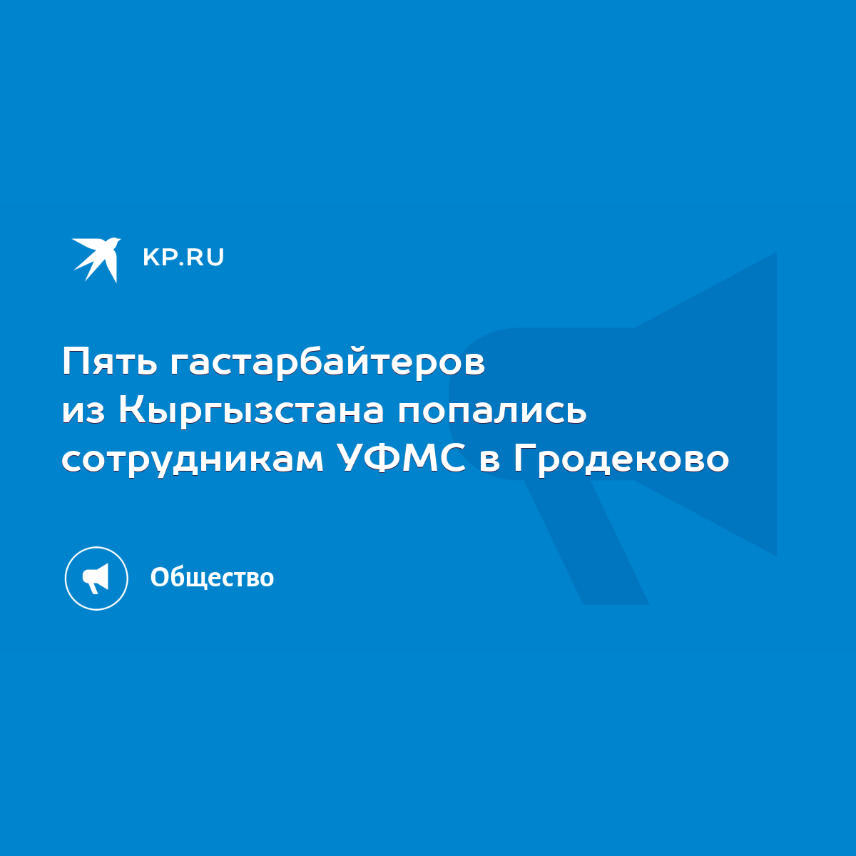 Пять гастарбайтеров из Кыргызстана попались сотрудникам УФМС в Гродеково -  KP.RU