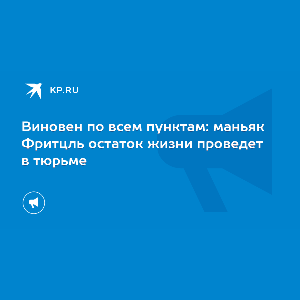 Виновен по всем пунктам: маньяк Фритцль остаток жизни проведет в тюрьме -  KP.RU