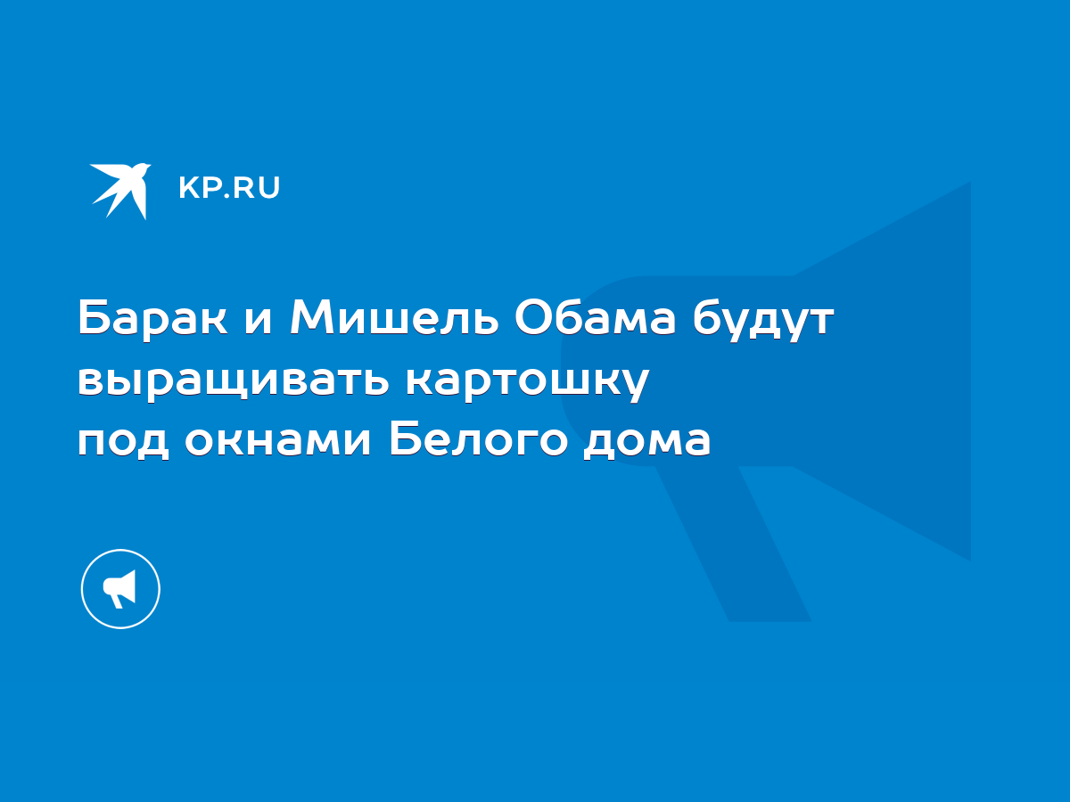 Барак и Мишель Обама будут выращивать картошку под окнами Белого дома -  KP.RU