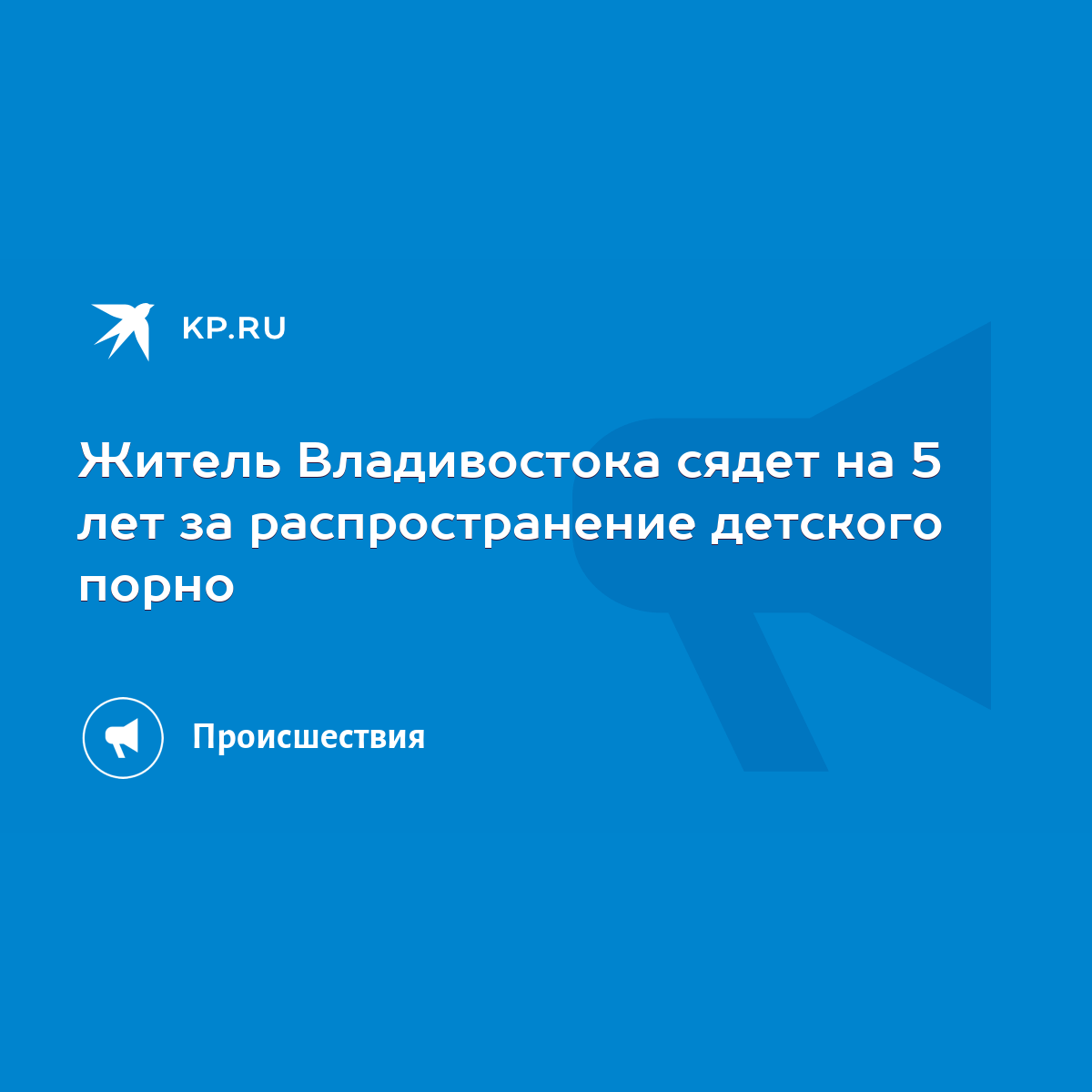 Житель Владивостока сядет на 5 лет за распространение детского порно - KP.RU