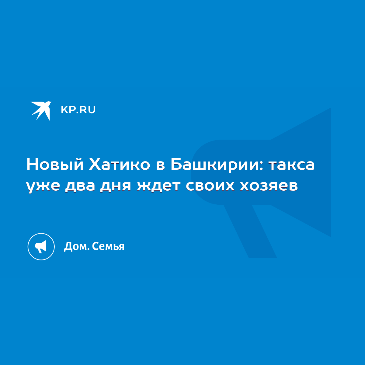 Новый Хатико в Башкирии: такса уже два дня ждет своих хозяев - KP.RU