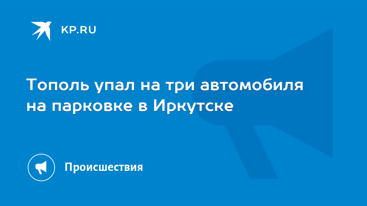 Тополь упал на три автомобиля на парковке в Иркутске - KP.RU