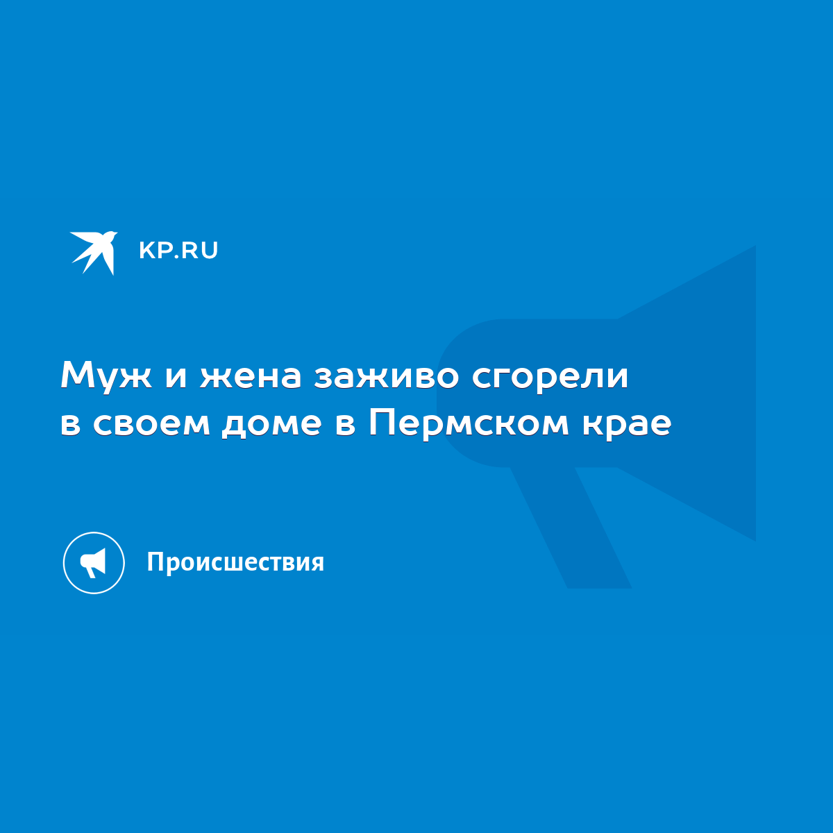 Муж и жена заживо сгорели в своем доме в Пермском крае - KP.RU