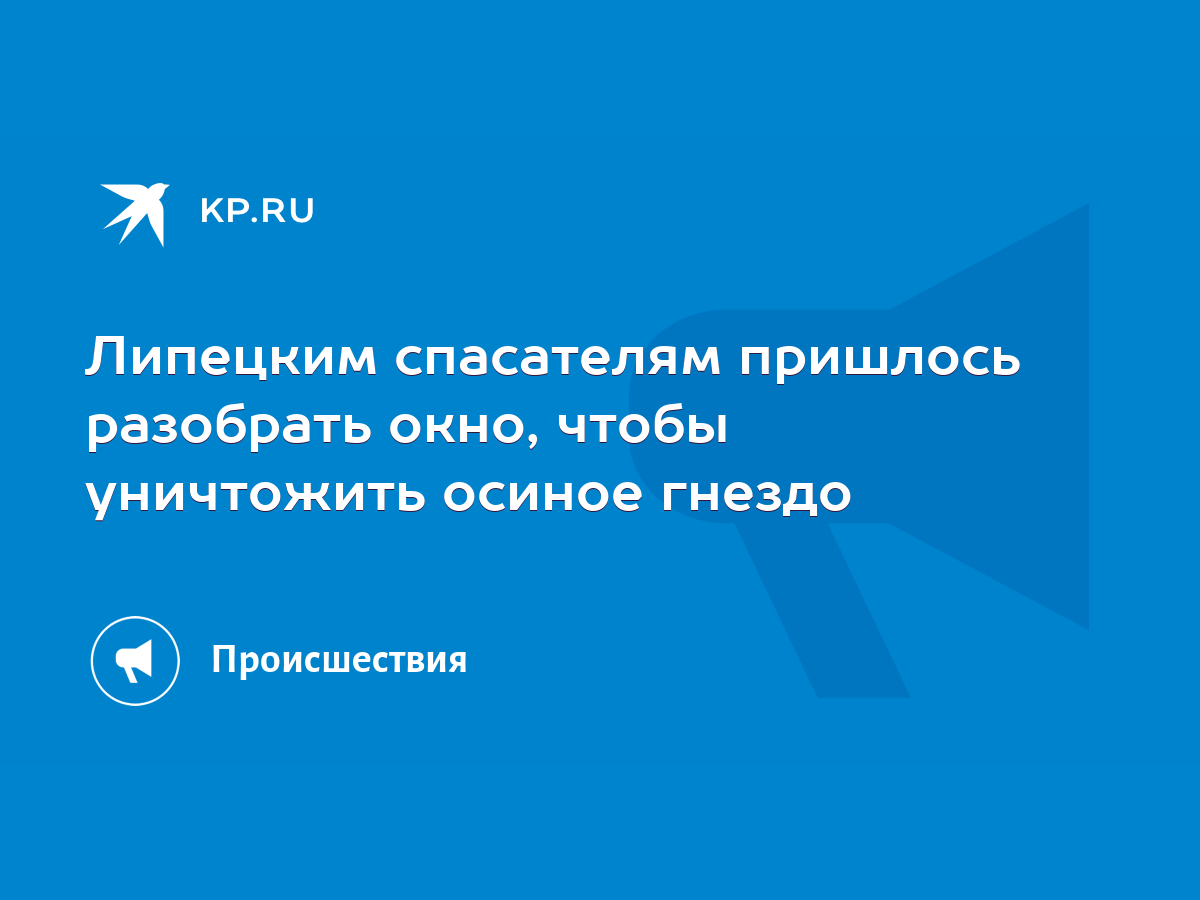 Липецким спасателям пришлось разобрать окно, чтобы уничтожить осиное гнездо  - KP.RU