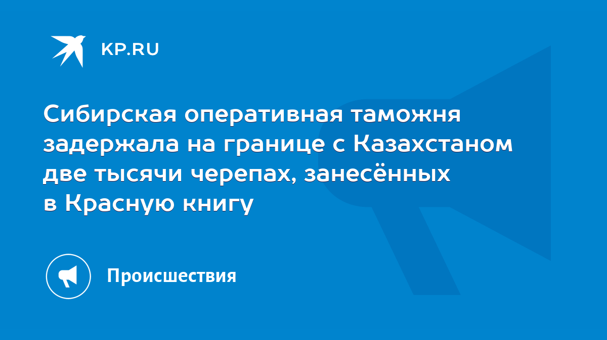 Сибирская оперативная таможня задержала на границе с Казахстаном две тысячи  черепах, занесённых в Красную книгу - KP.RU