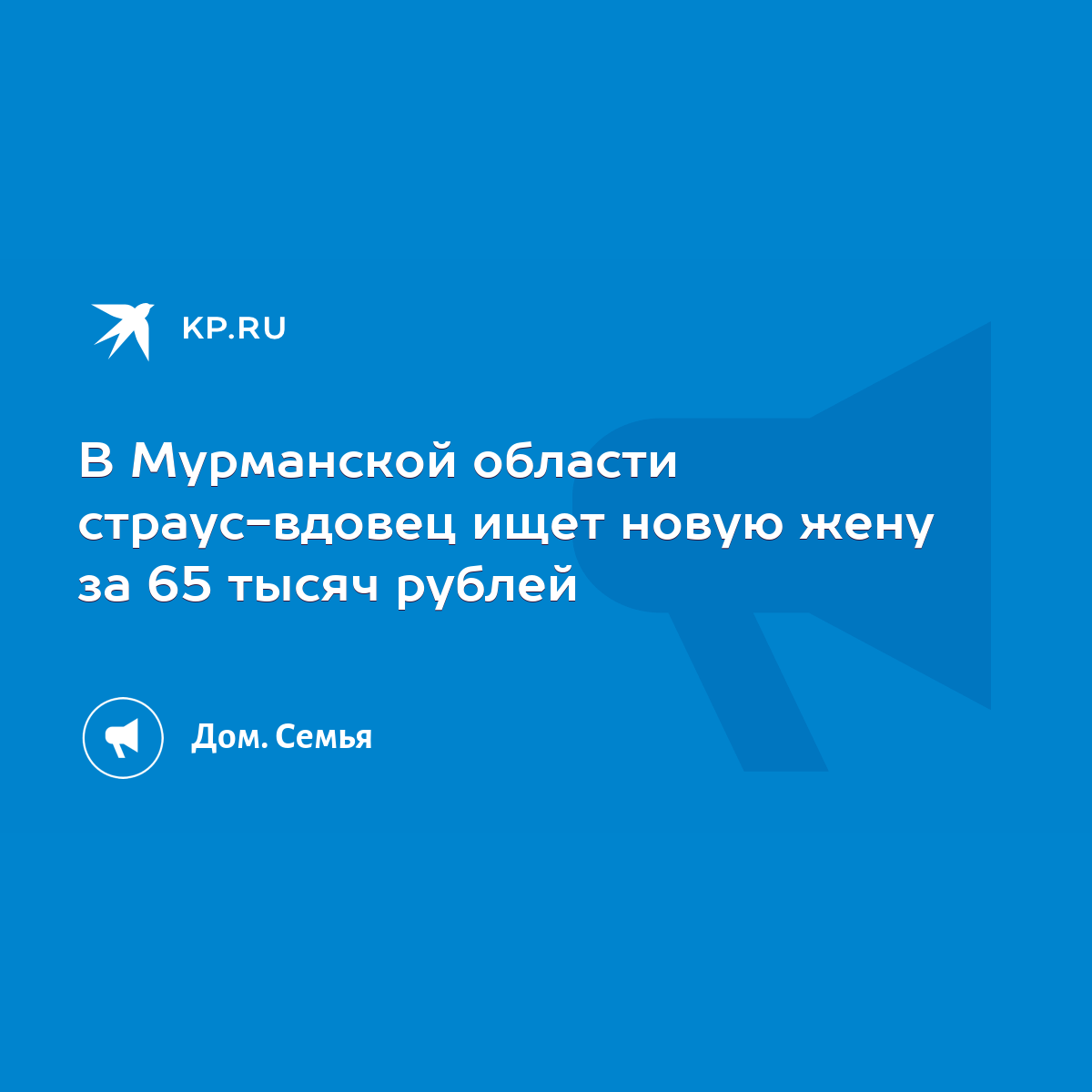 В Мурманской области страус-вдовец ищет новую жену за 65 тысяч рублей -  KP.RU