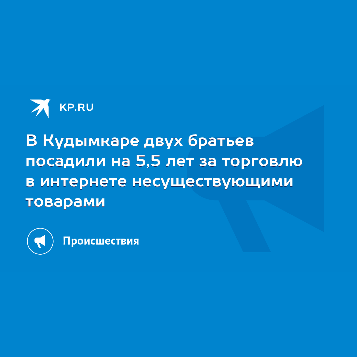 В Кудымкаре двух братьев посадили на 5,5 лет за торговлю в интернете  несуществующими товарами - KP.RU