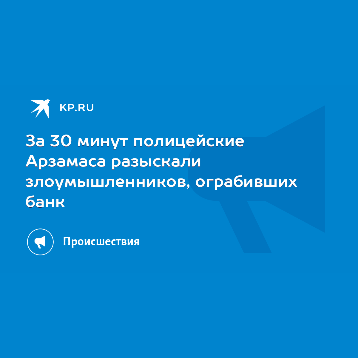 За 30 минут полицейские Арзамаса разыскали злоумышленников, ограбивших банк  - KP.RU