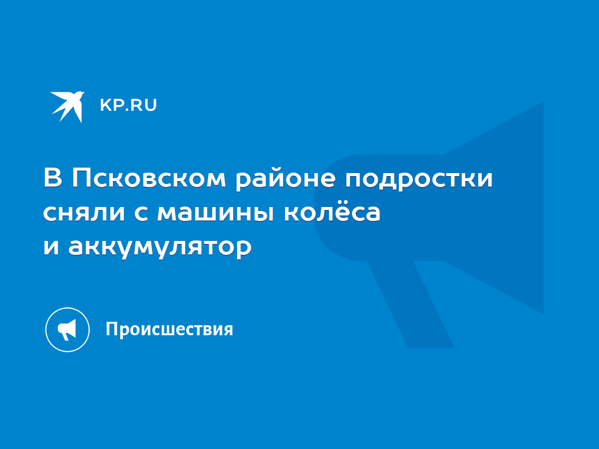 В Псковском районе подростки сняли с машины колёса и аккумулятор - KP.RU