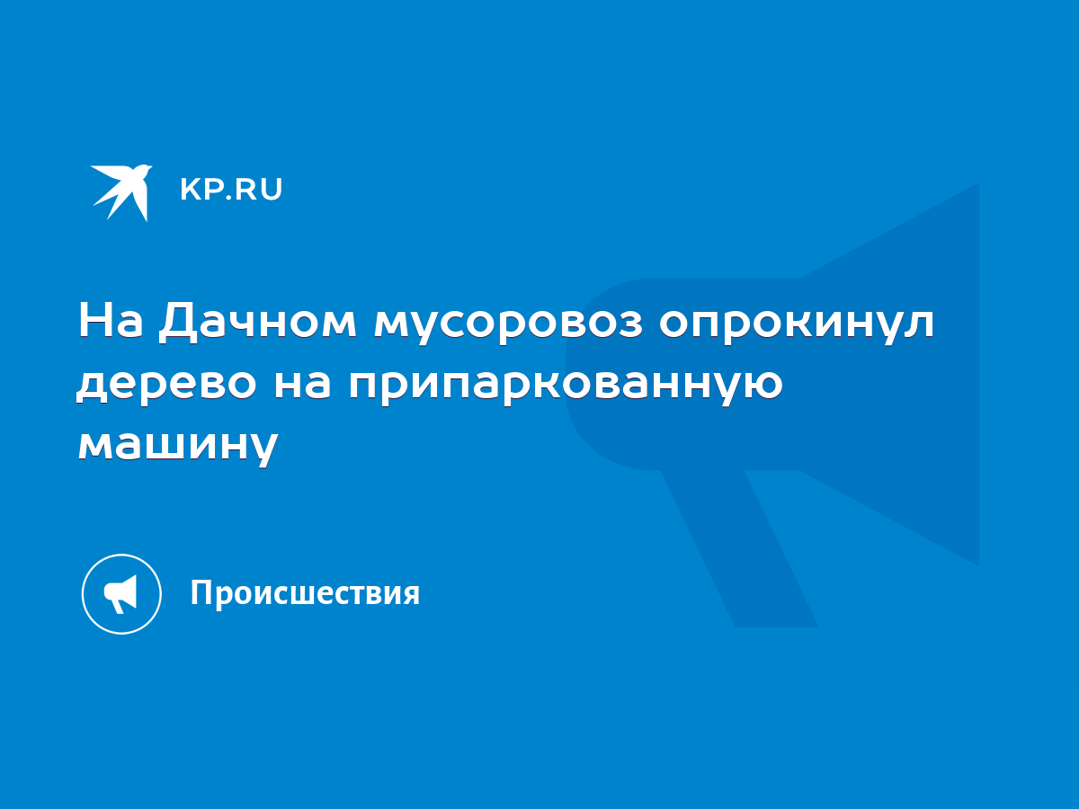 На Дачном мусоровоз опрокинул дерево на припаркованную машину - KP.RU