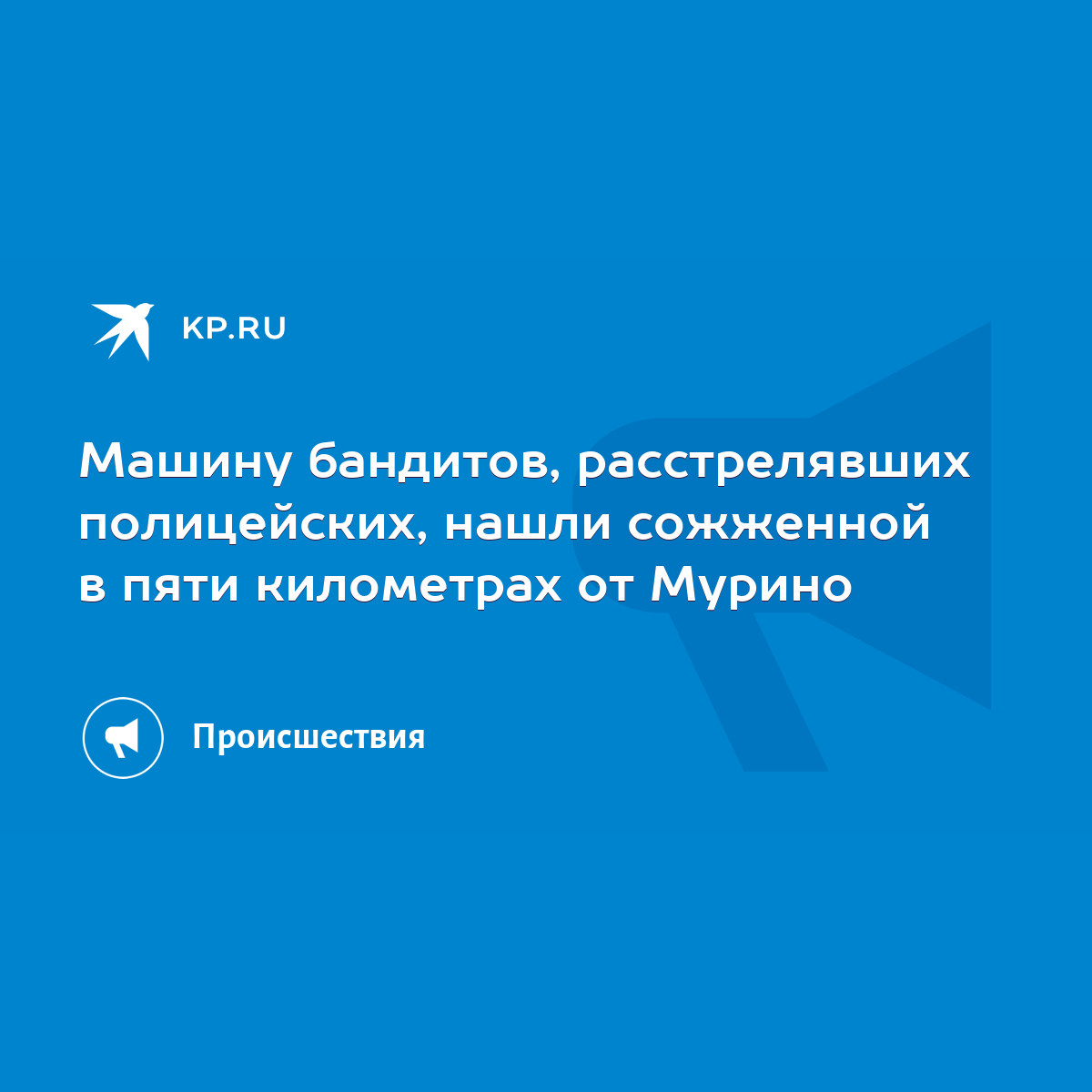 Машину бандитов, расстрелявших полицейских, нашли сожженной в пяти  километрах от Мурино - KP.RU