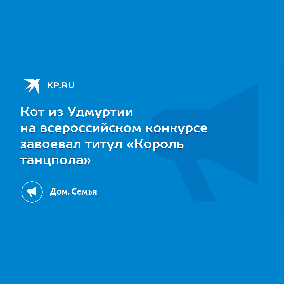 Кот из Удмуртии на всероссийском конкурсе завоевал титул «Король танцпола»  - KP.RU