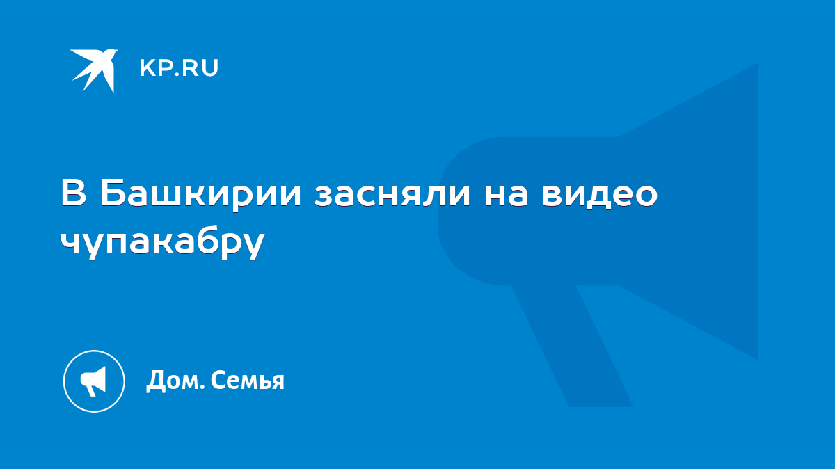 В Башкирии засняли на видео чупакабру - KP.RU