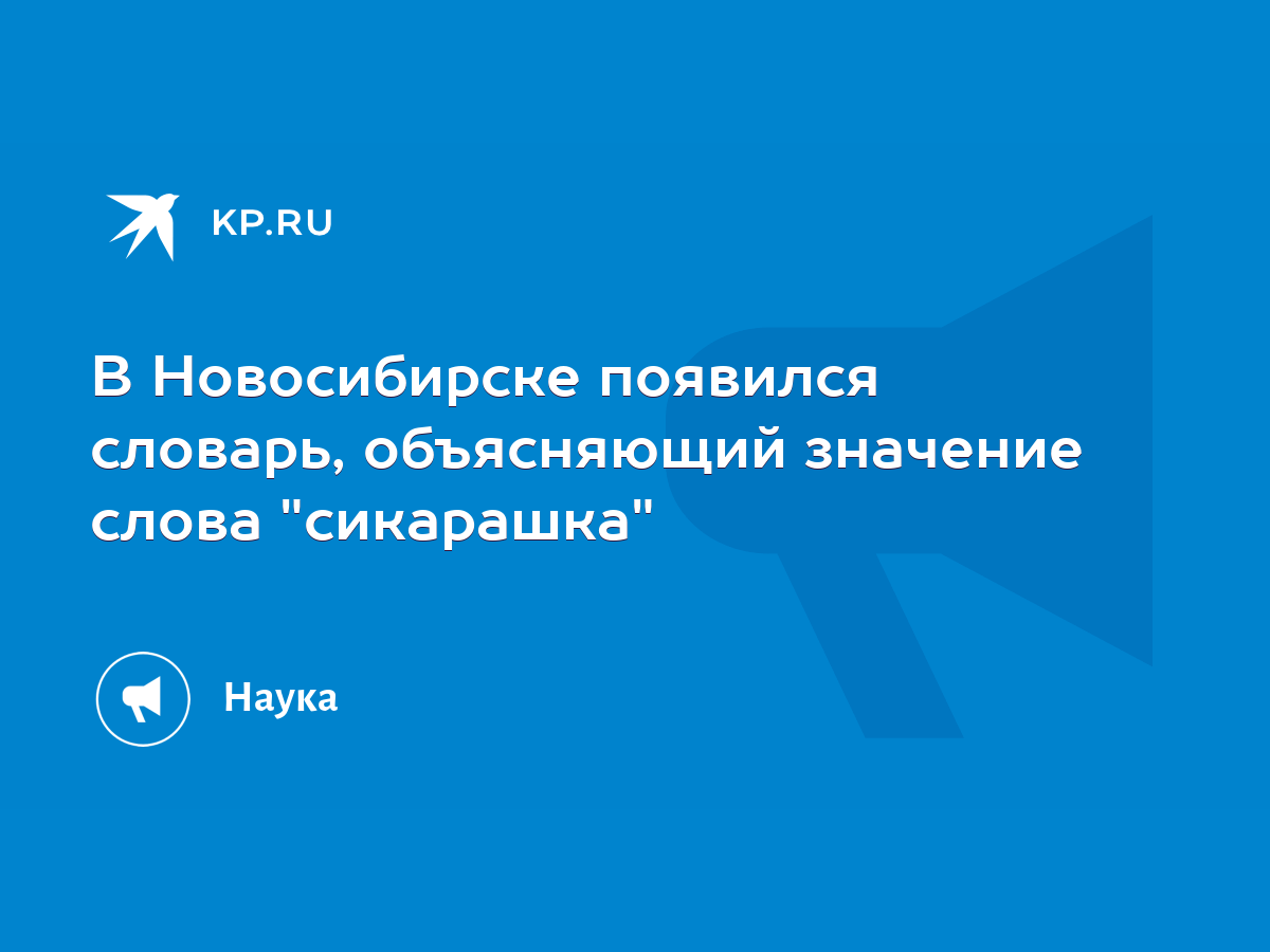 В Новосибирске появился словарь, объясняющий значение слова 