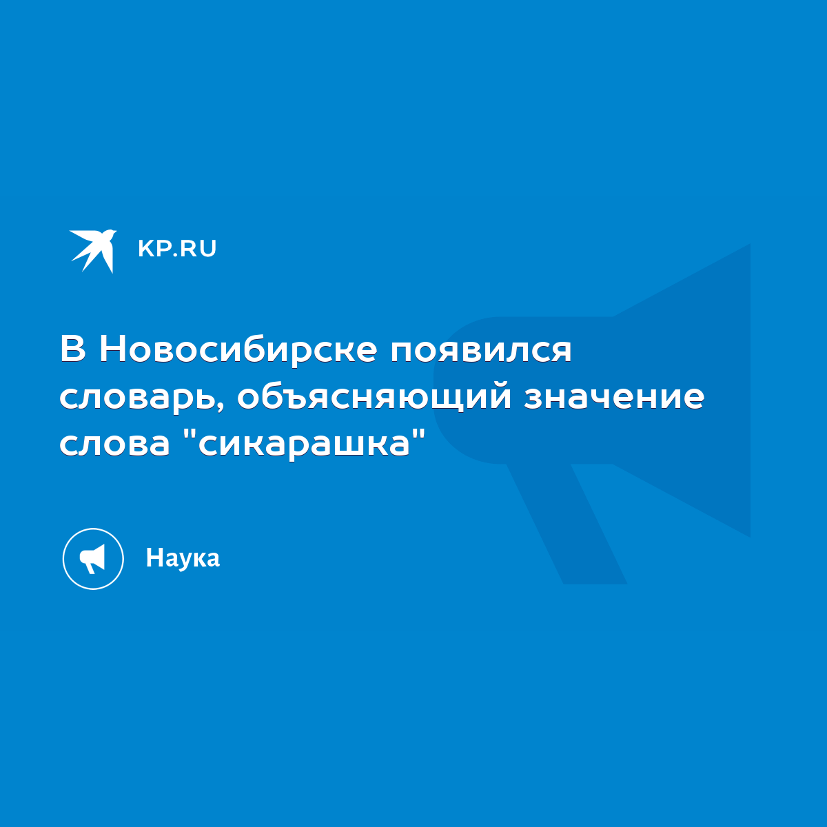 В Новосибирске появился словарь, объясняющий значение слова 