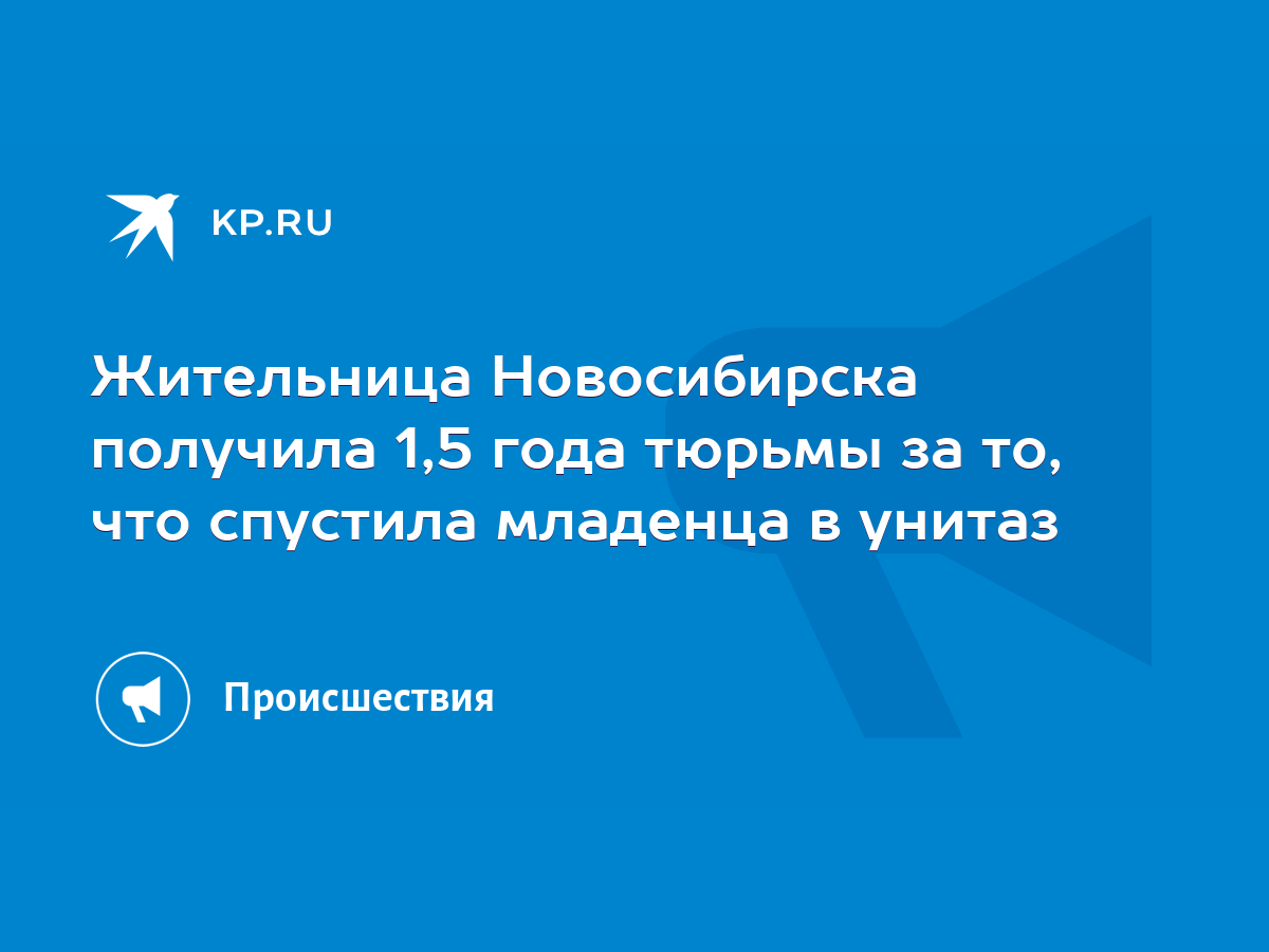 Жительница Новосибирска получила 1,5 года тюрьмы за то, что спустила  младенца в унитаз - KP.RU