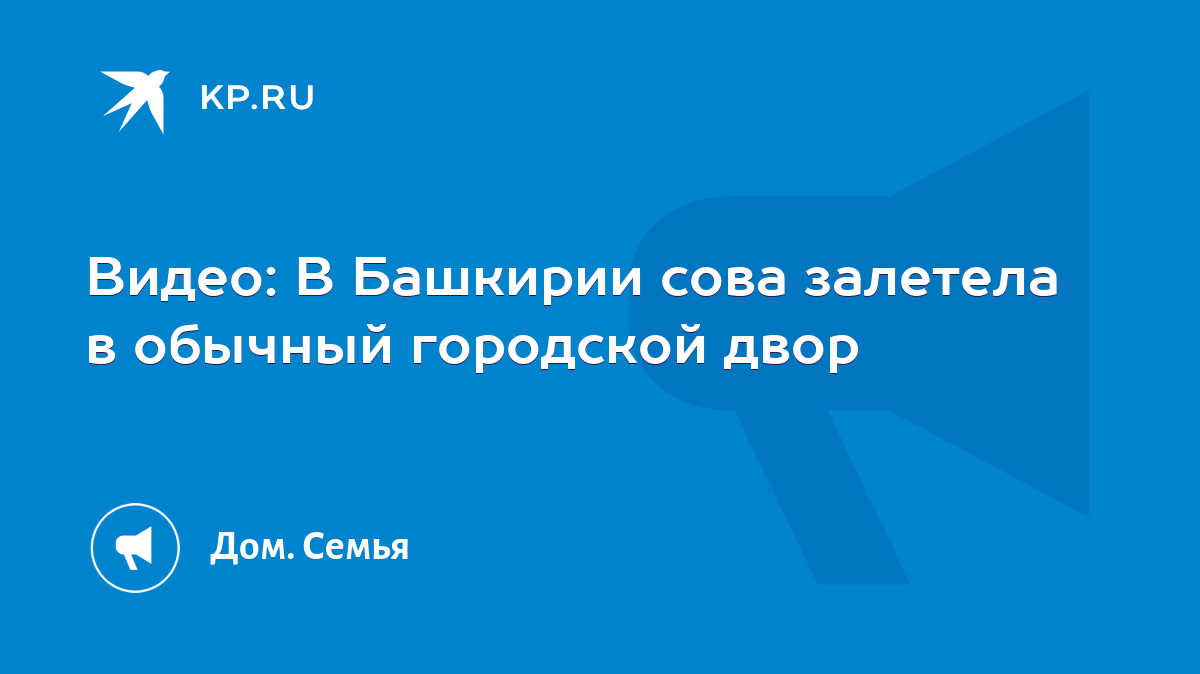 Видео: В Башкирии сова залетела в обычный городской двор - KP.RU