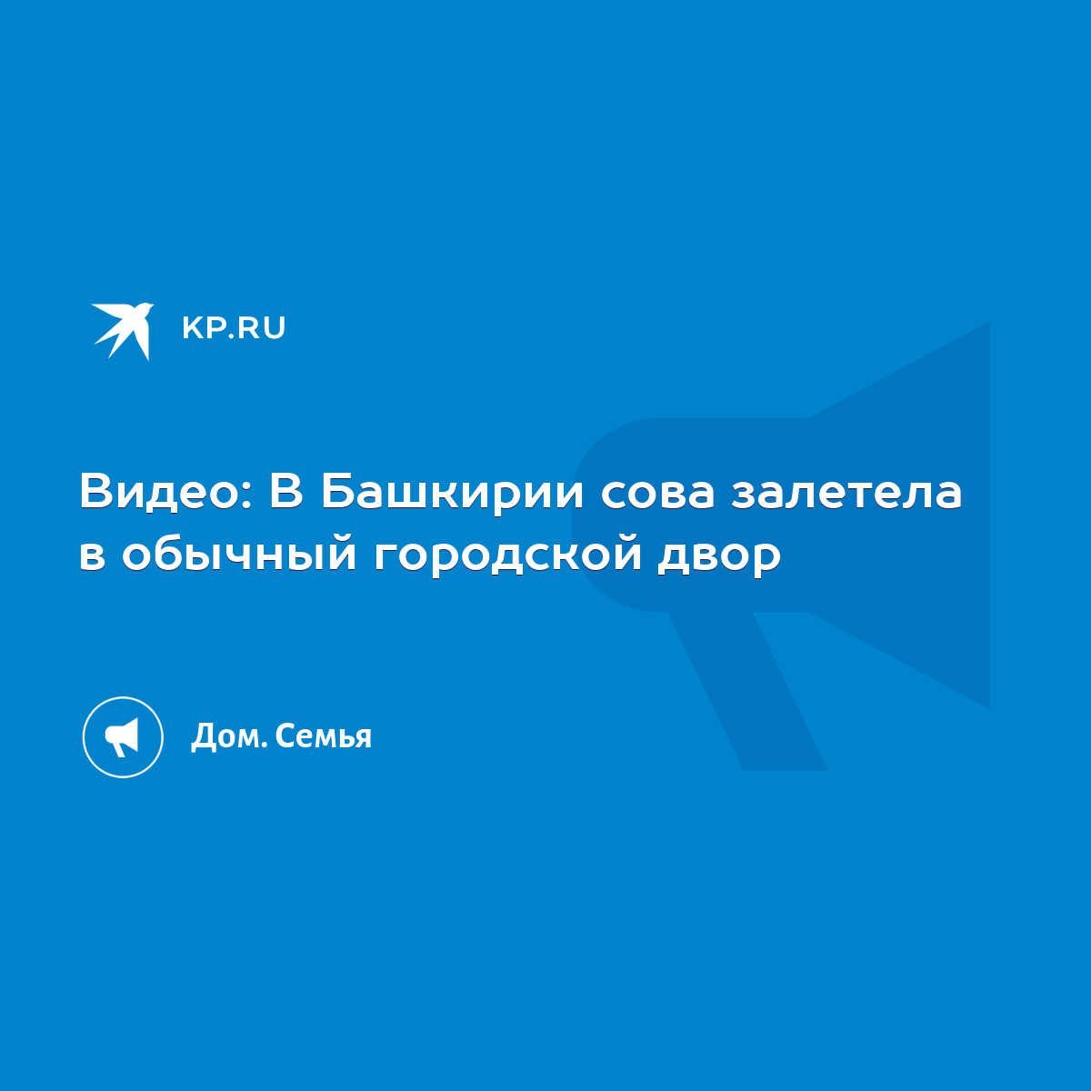 Видео: В Башкирии сова залетела в обычный городской двор - KP.RU