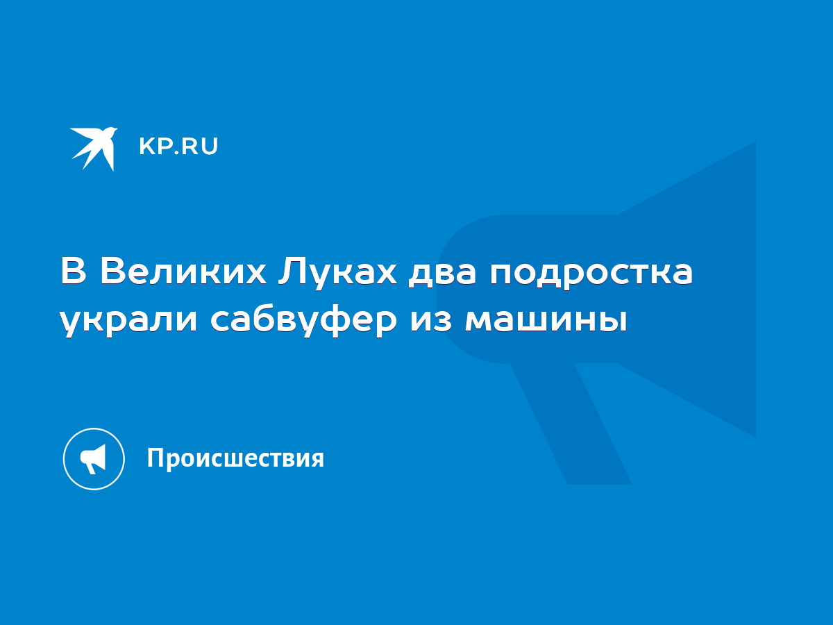 В Великих Луках два подростка украли сабвуфер из машины - KP.RU