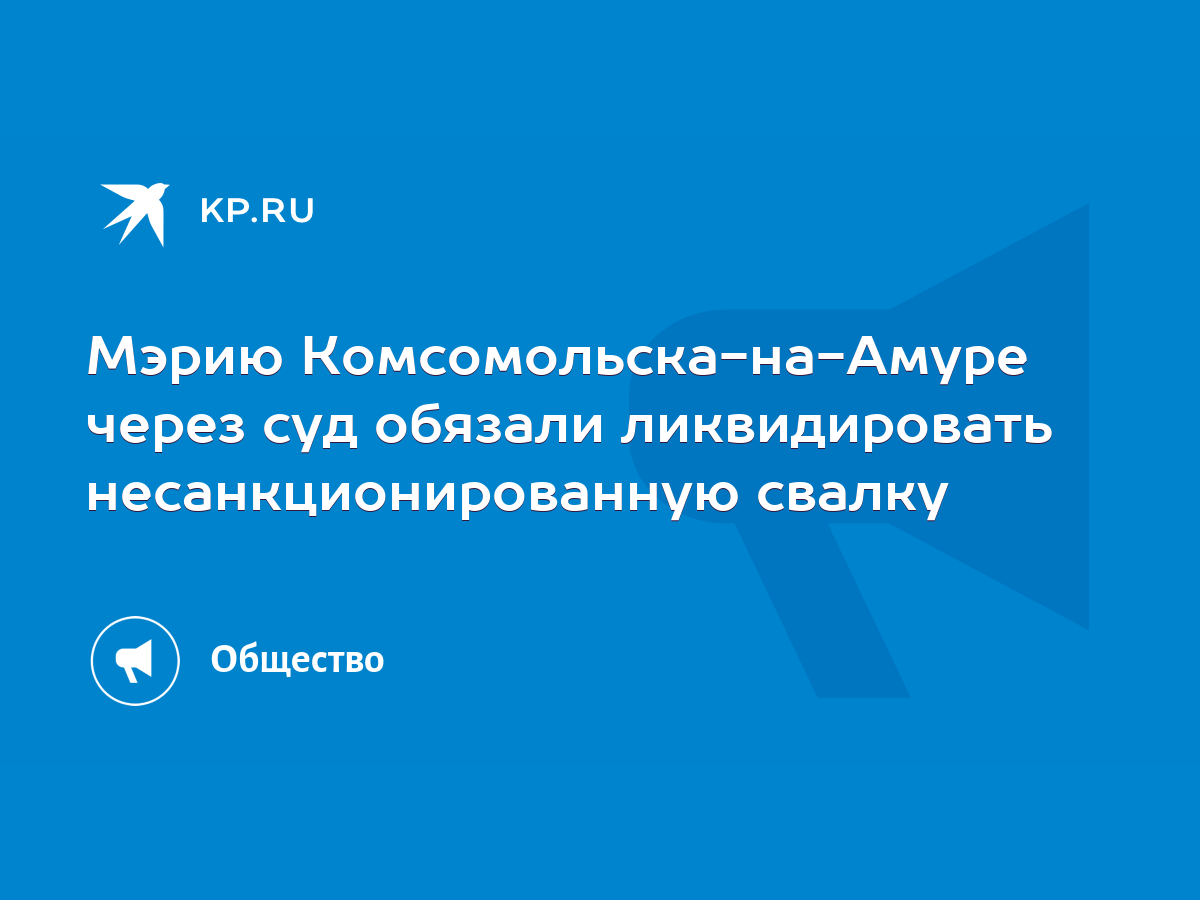 Мэрию Комсомольска-на-Амуре через суд обязали ликвидировать  несанкционированную свалку - KP.RU