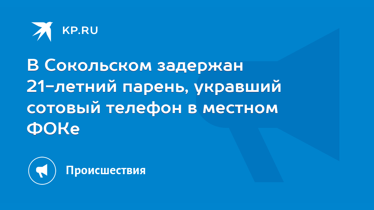 В Сокольском задержан 21-летний парень, укравший сотовый телефон в местном  ФОКе - KP.RU