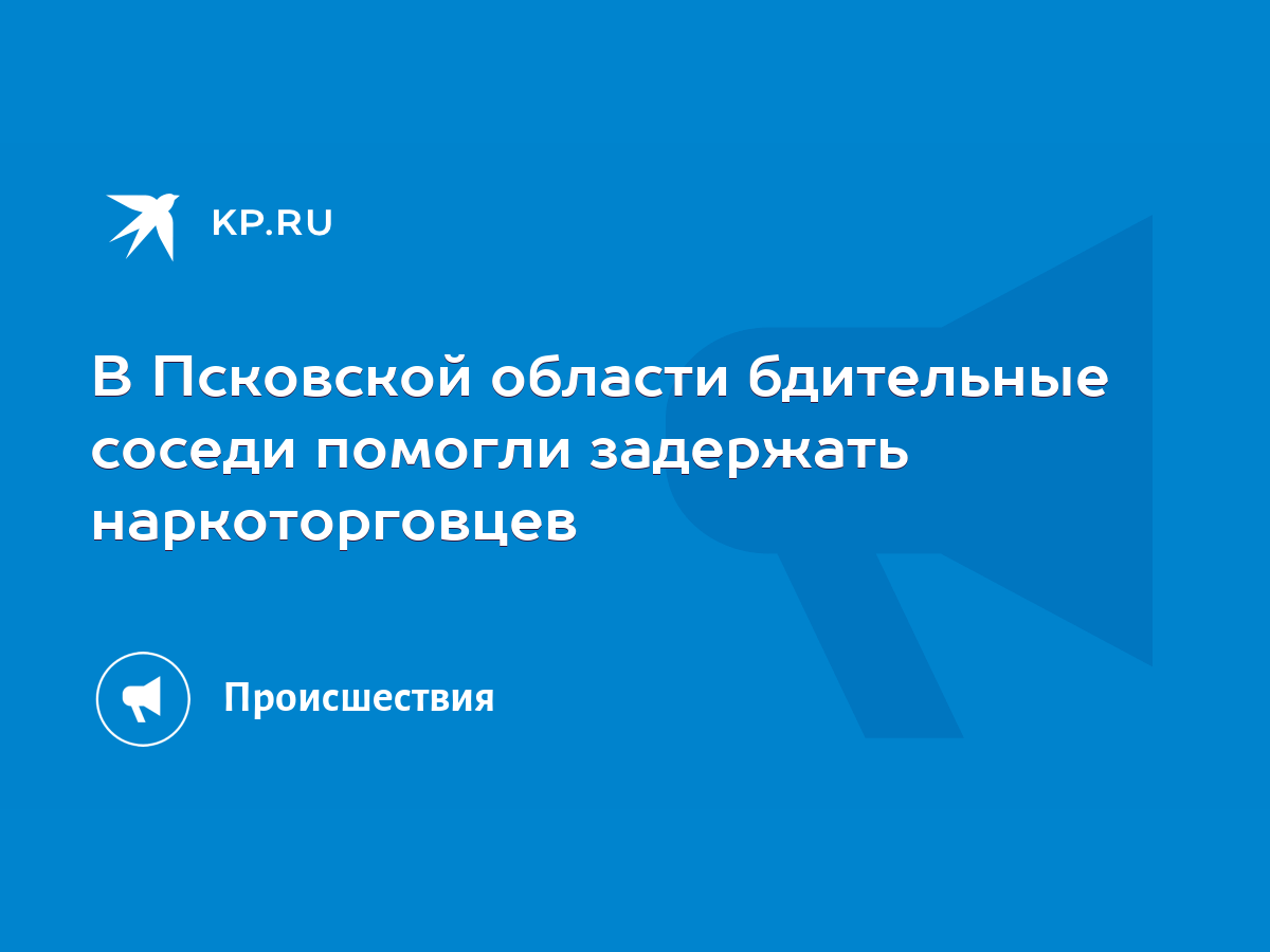 В Псковской области бдительные соседи помогли задержать наркоторговцев -  KP.RU