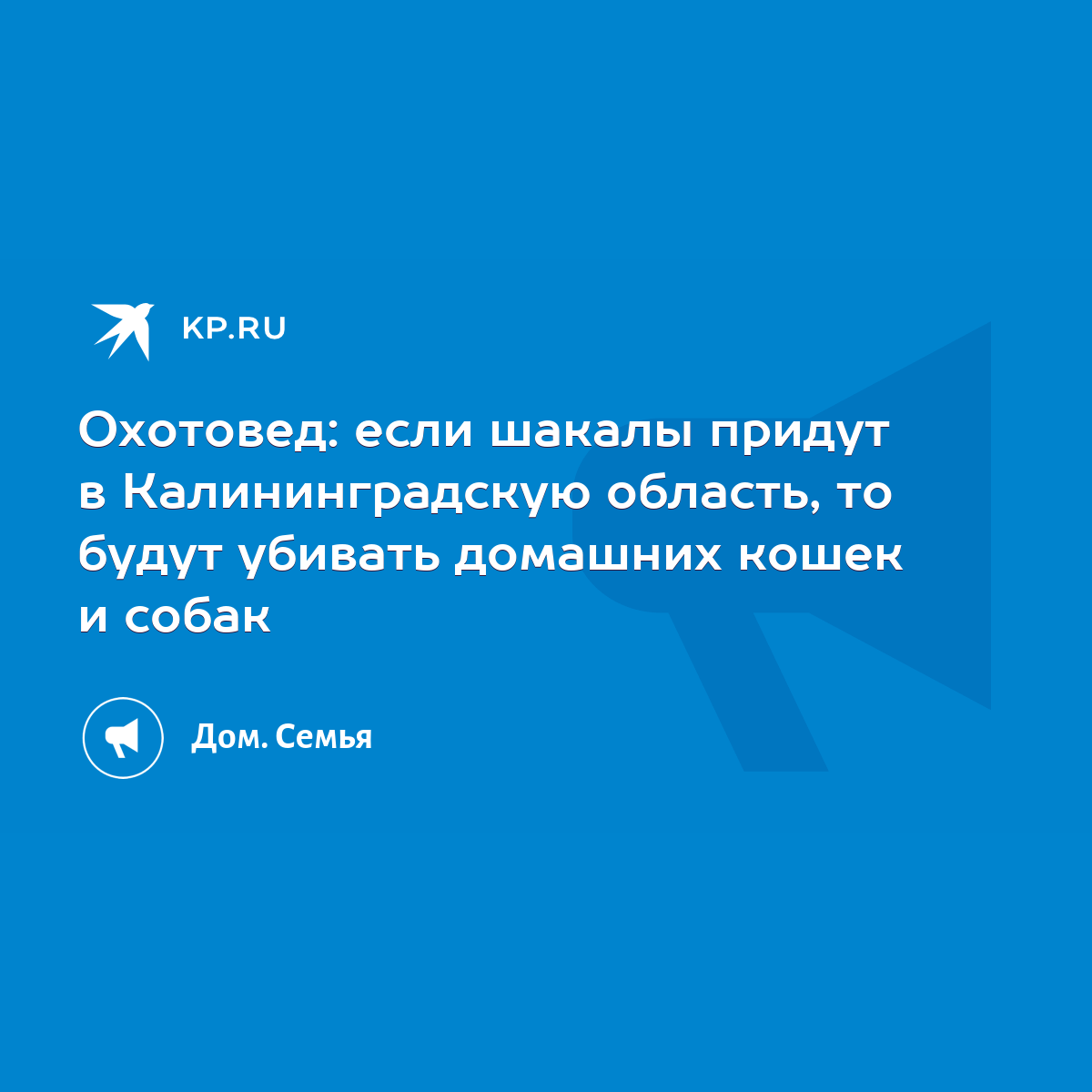 Охотовед: если шакалы придут в Калининградскую область, то будут убивать  домашних кошек и собак - KP.RU