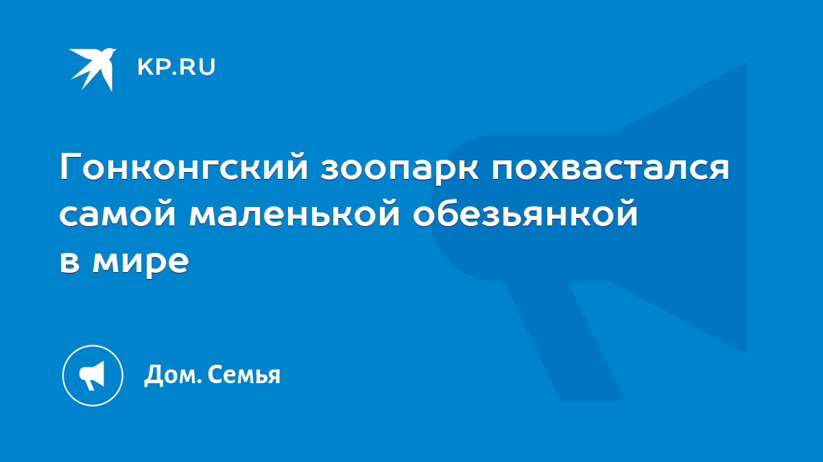 Гонконгский зоопарк похвастался самой маленькой обезьянкой в мире - KP.RU