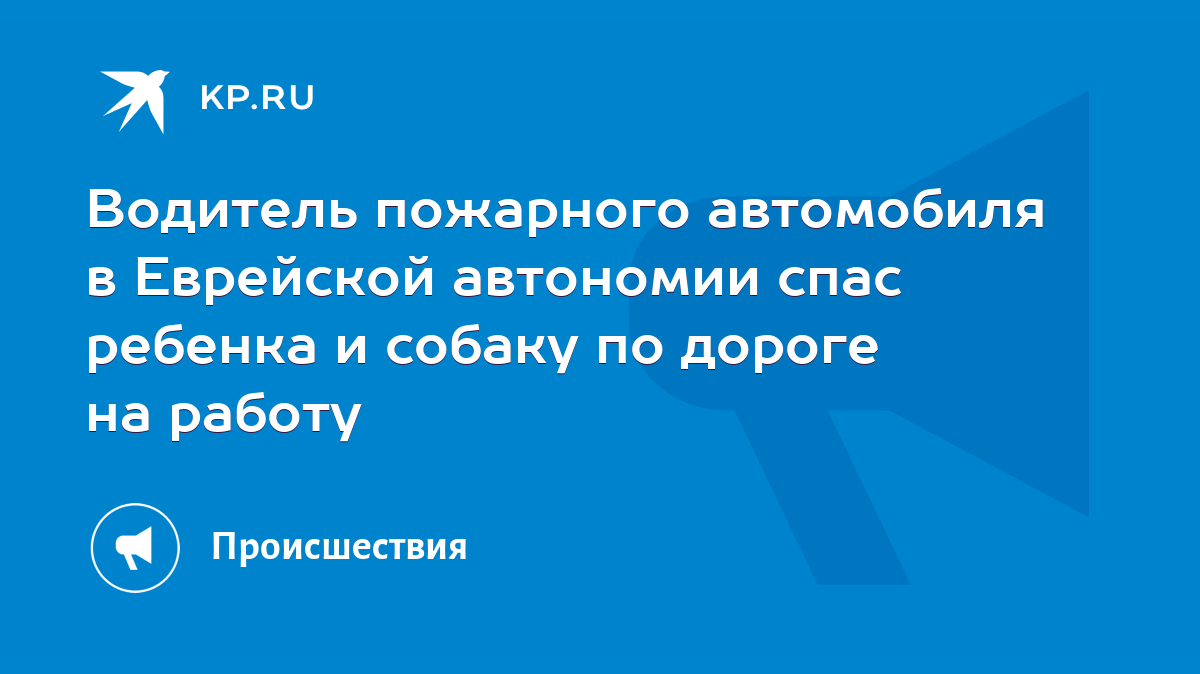 Водитель пожарного автомобиля в Еврейской автономии спас ребенка и собаку  по дороге на работу - KP.RU