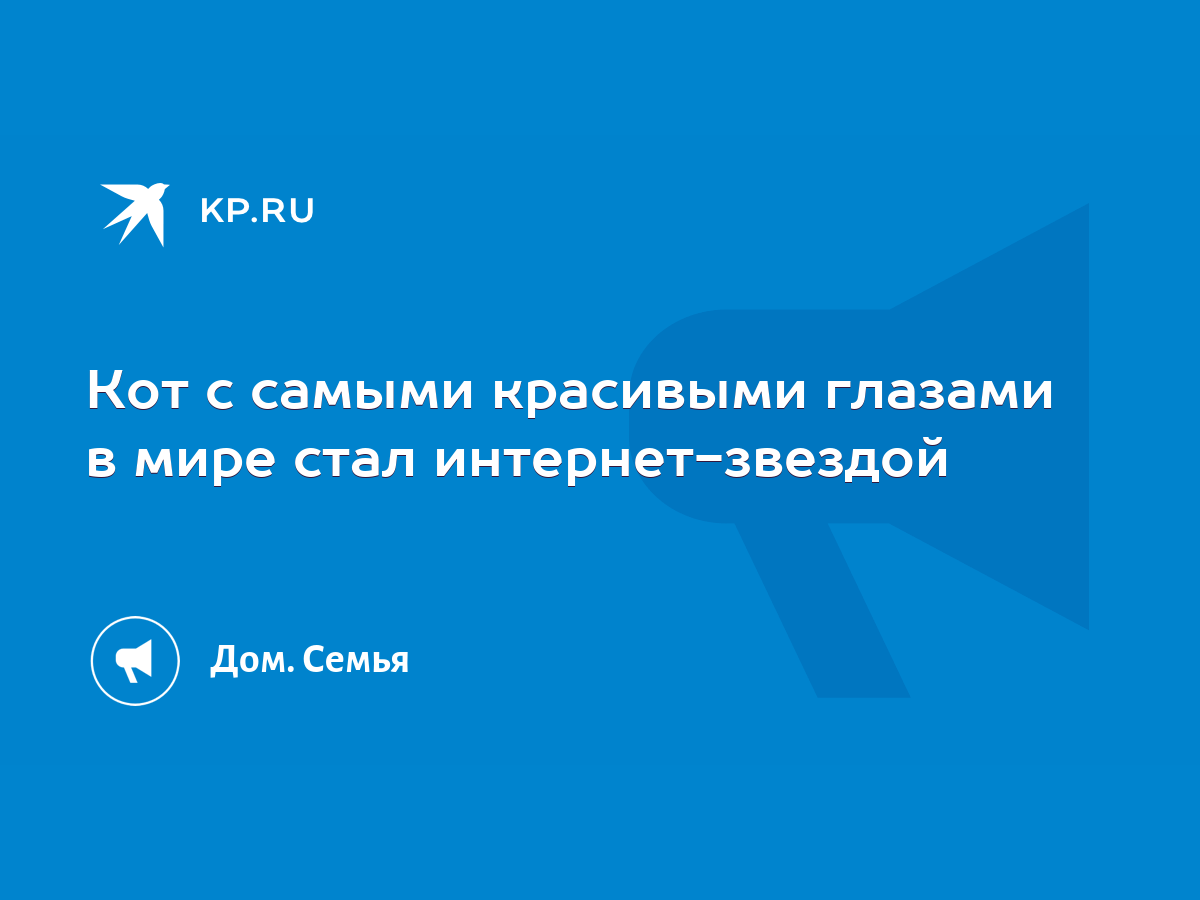 Кот с самыми красивыми глазами в мире стал интернет-звездой - KP.RU