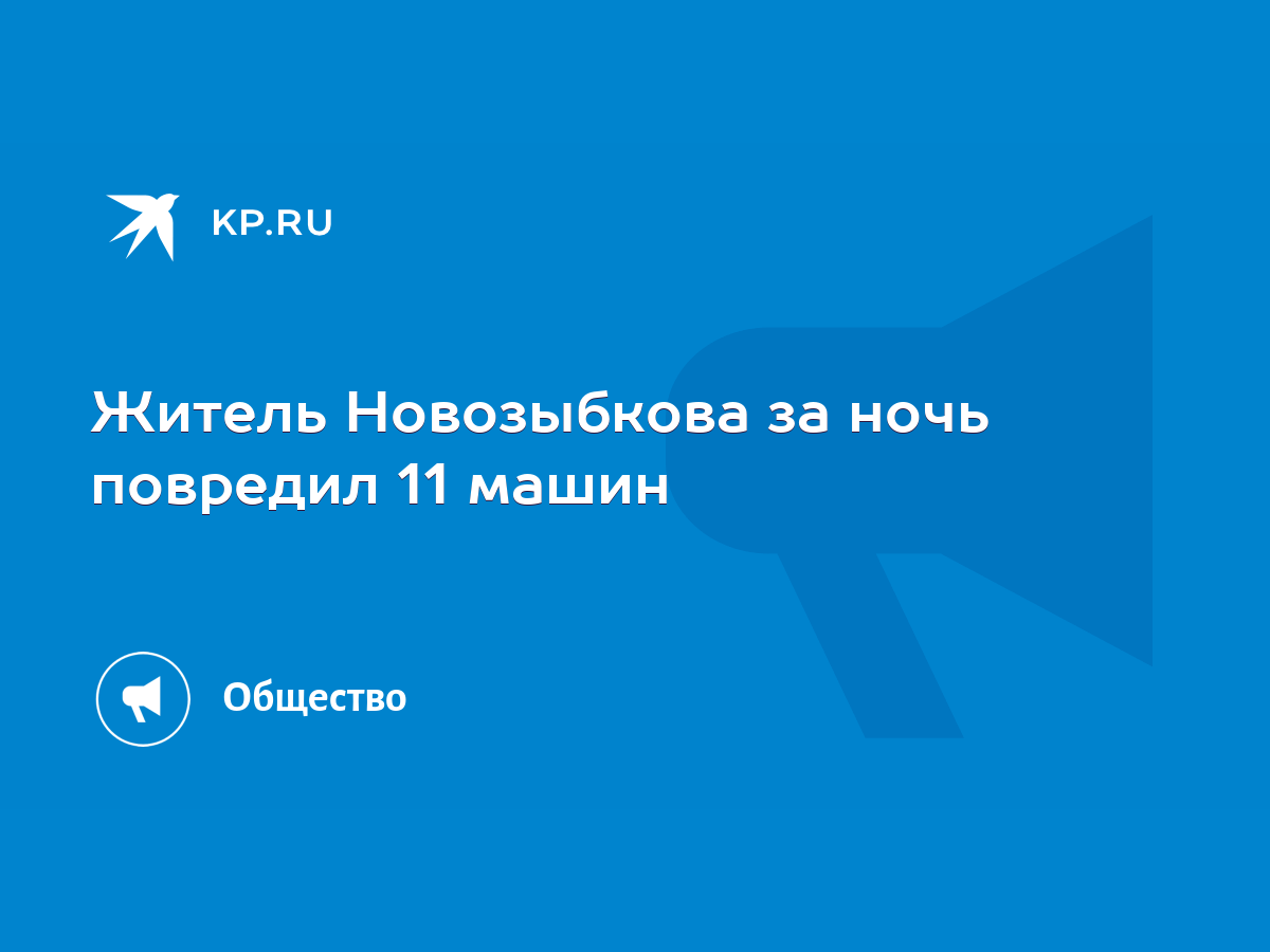 Житель Новозыбкова за ночь повредил 11 машин - KP.RU