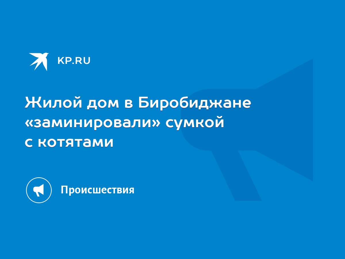 Жилой дом в Биробиджане «заминировали» сумкой с котятами - KP.RU