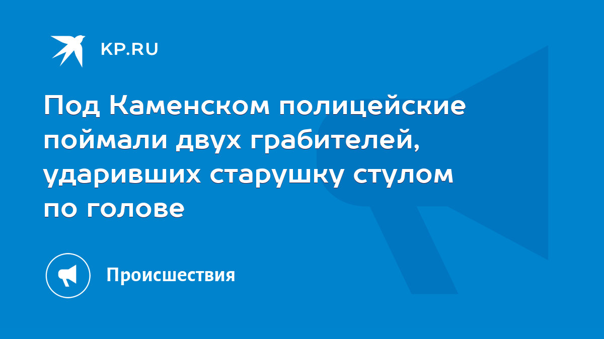 Под Каменском полицейские поймали двух грабителей, ударивших старушку  стулом по голове - KP.RU