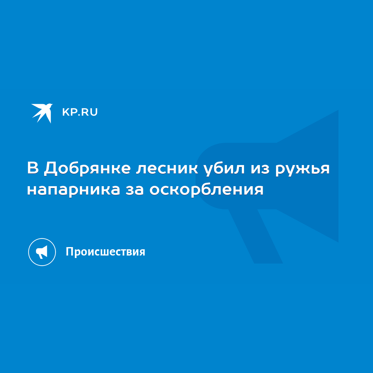 В Добрянке лесник убил из ружья напарника за оскорбления - KP.RU