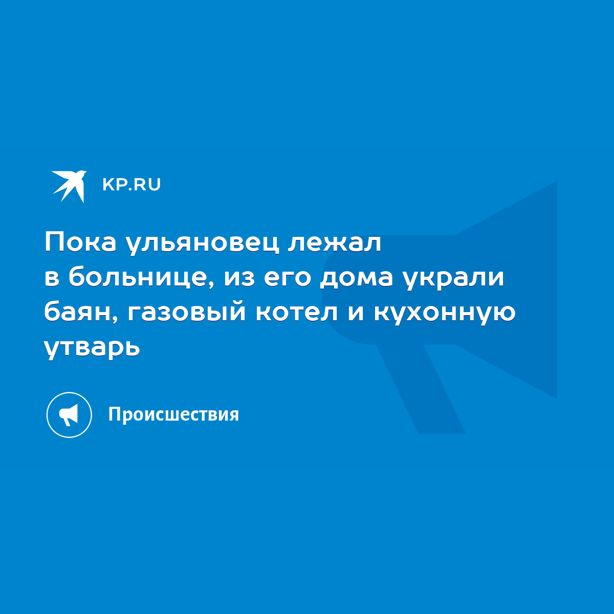 Пока ульяновец лежал в больнице, из его дома украли баян, газовый котел и  кухонную утварь - KP.RU