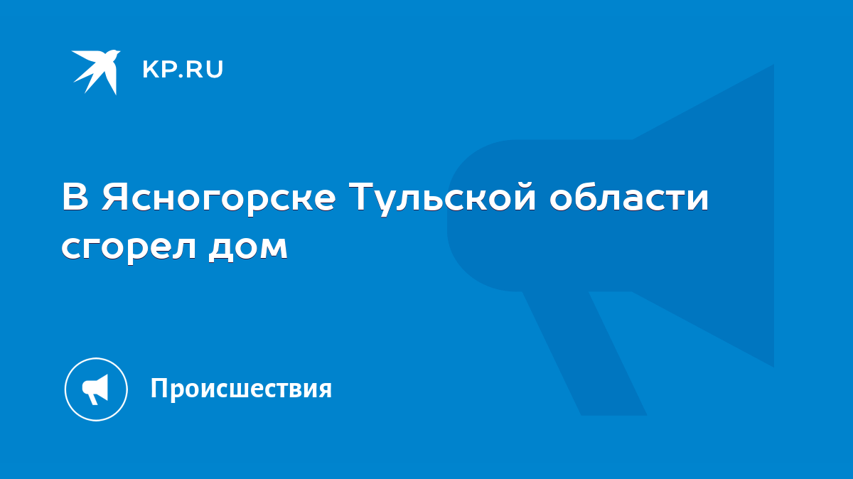 В Ясногорске Тульской области сгорел дом - KP.RU