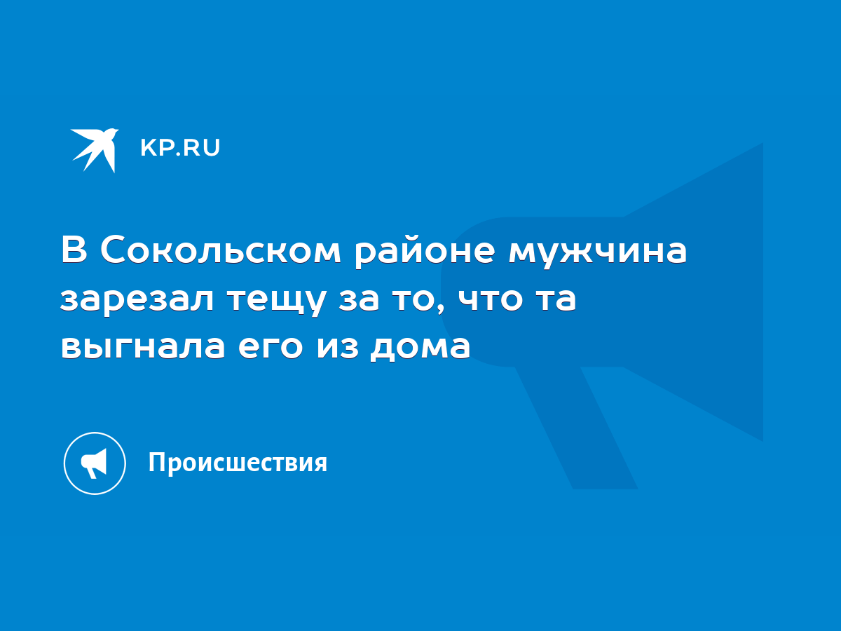 В Сокольском районе мужчина зарезал тещу за то, что та выгнала его из дома  - KP.RU