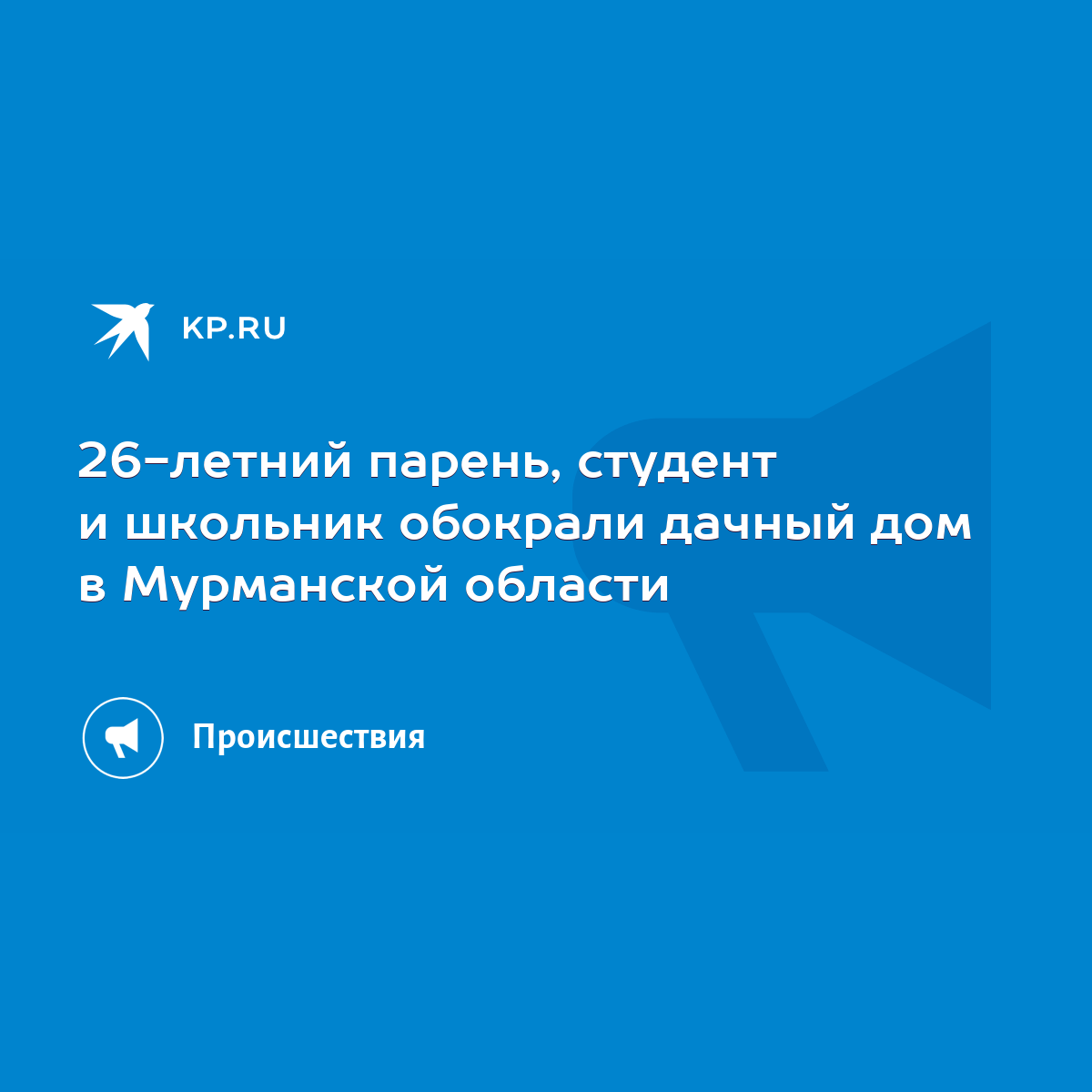 26-летний парень, студент и школьник обокрали дачный дом в Мурманской  области - KP.RU