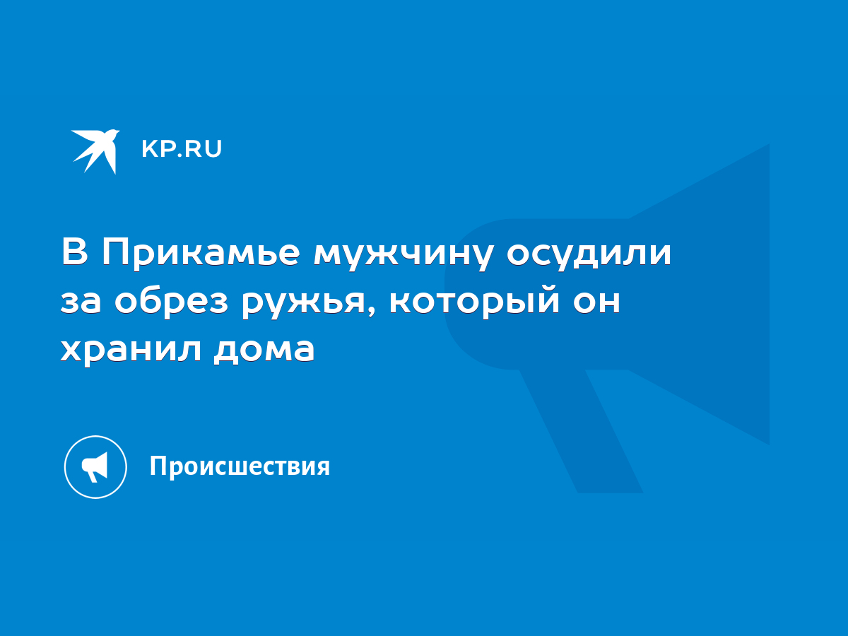 В Прикамье мужчину осудили за обрез ружья, который он хранил дома - KP.RU