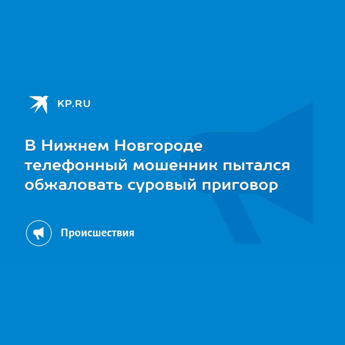 В Нижнем Новгороде телефонный мошенник пытался обжаловать суровый приговор  - KP.RU