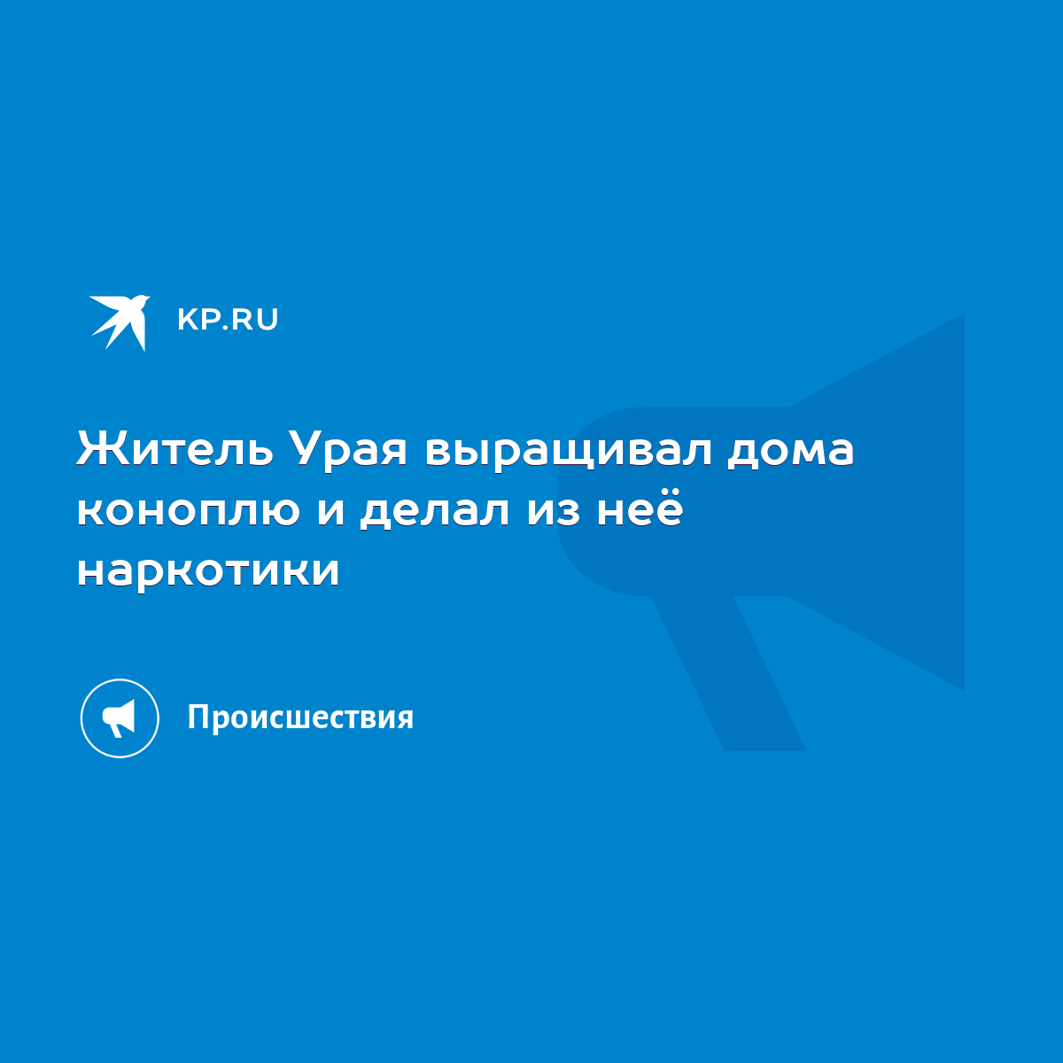 Житель Урая выращивал дома коноплю и делал из неё наркотики - KP.RU