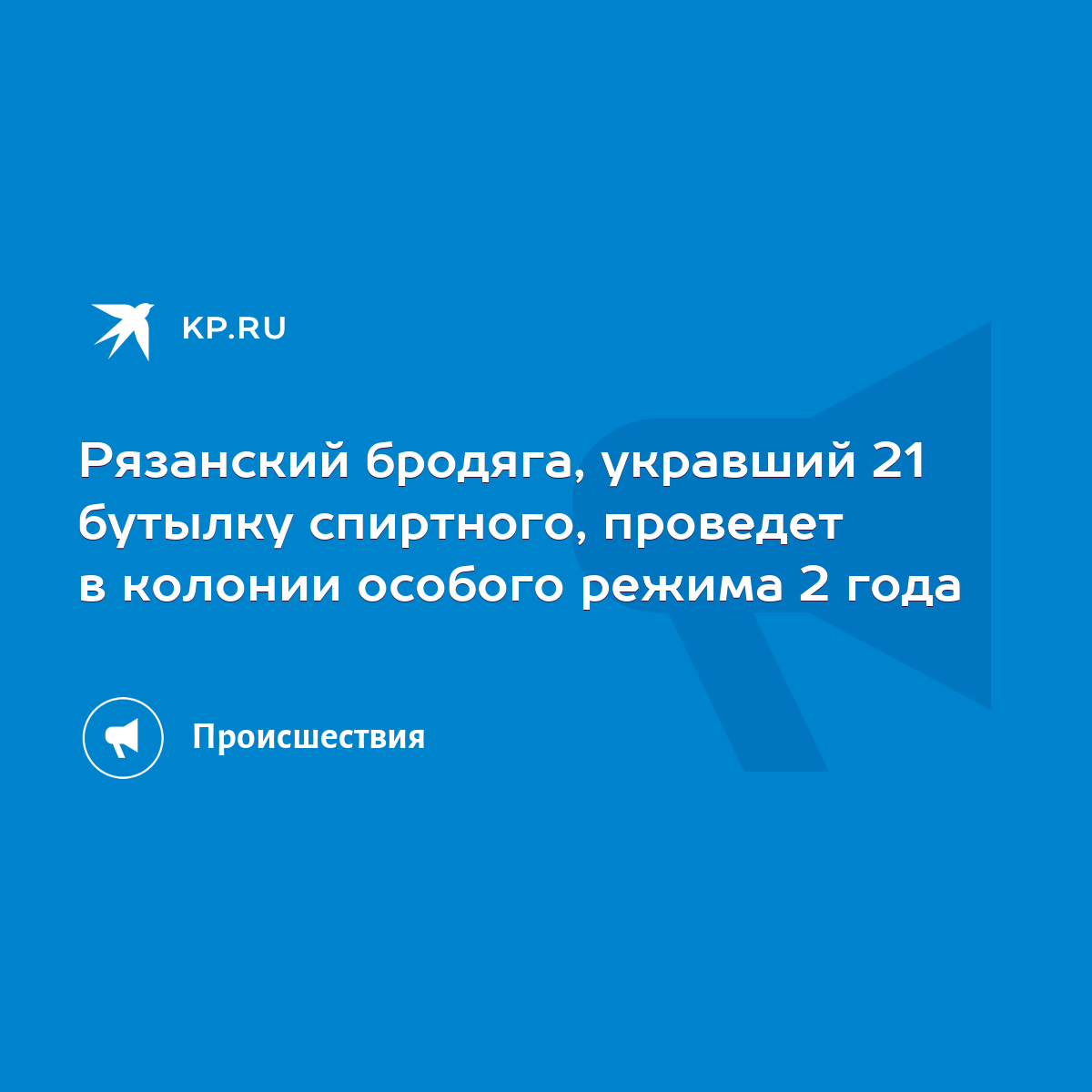 Рязанский бродяга, укравший 21 бутылку спиртного, проведет в колонии  особого режима 2 года - KP.RU